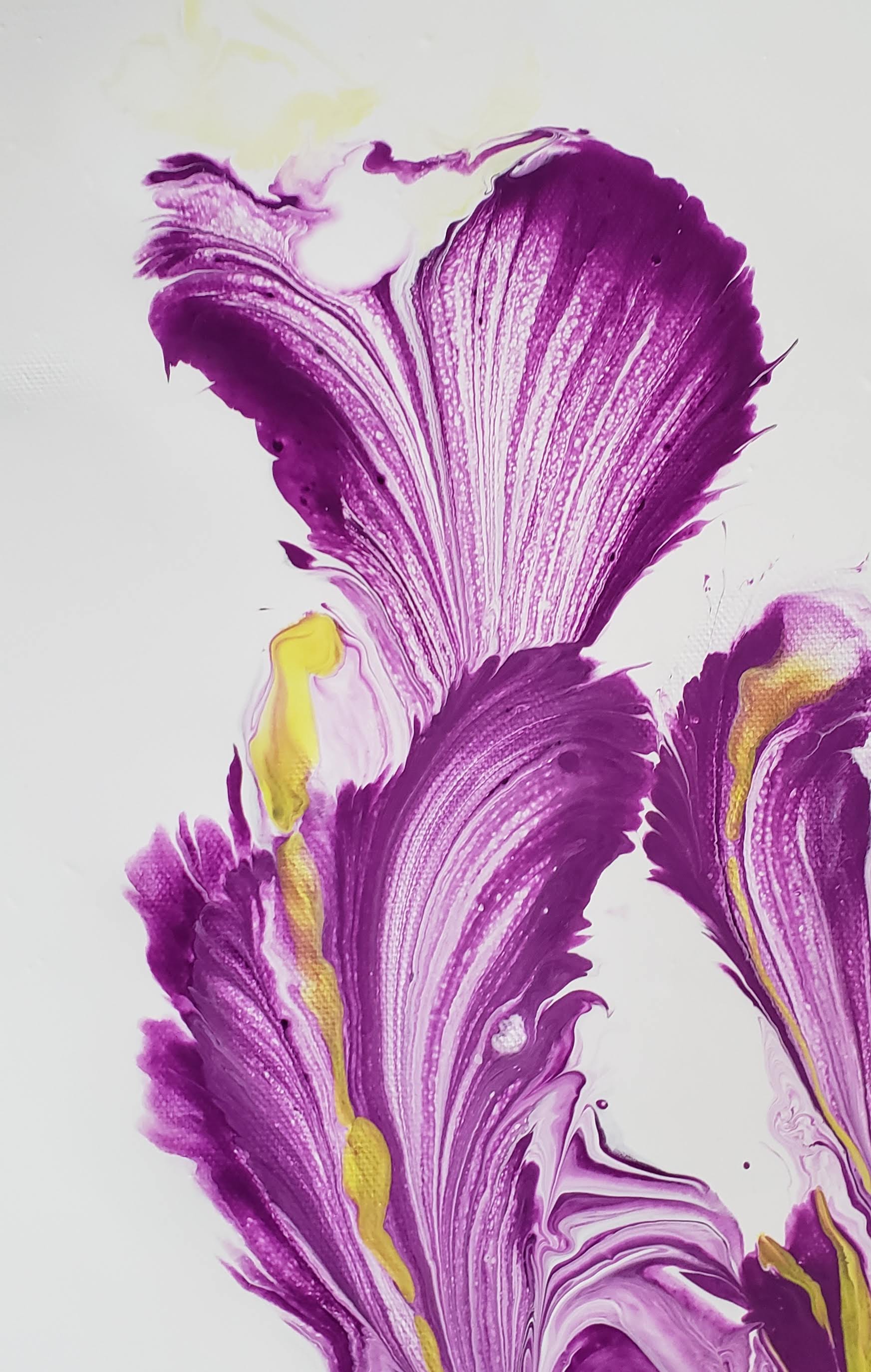 Colored by Nature-Purple